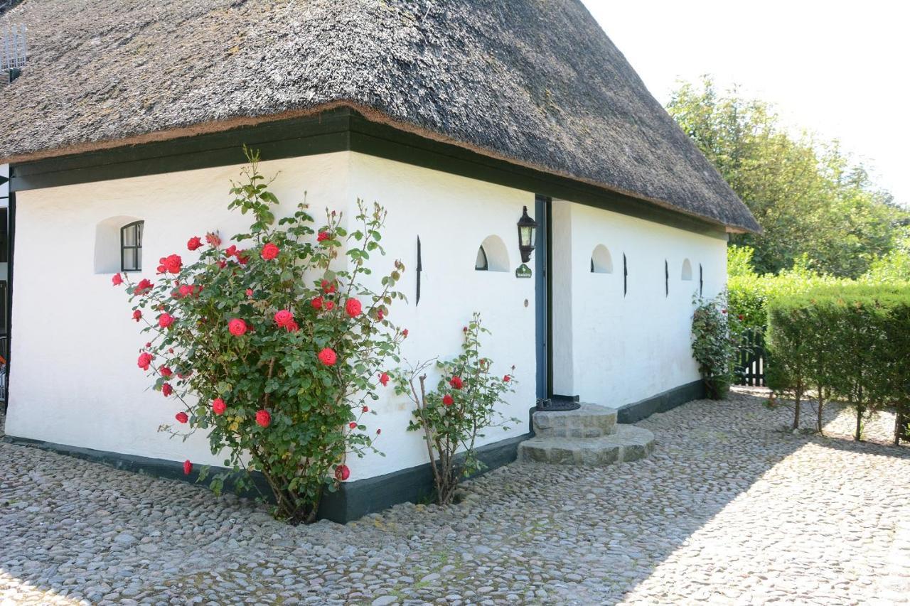 Villa Foehrienhaus Midlum  Exterior foto